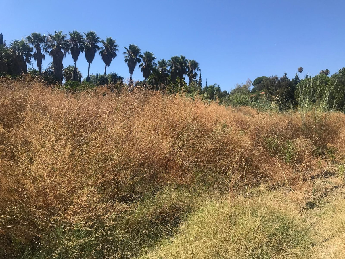 1631f42f0e9953fdf03f63fcbfbcf490 - 8