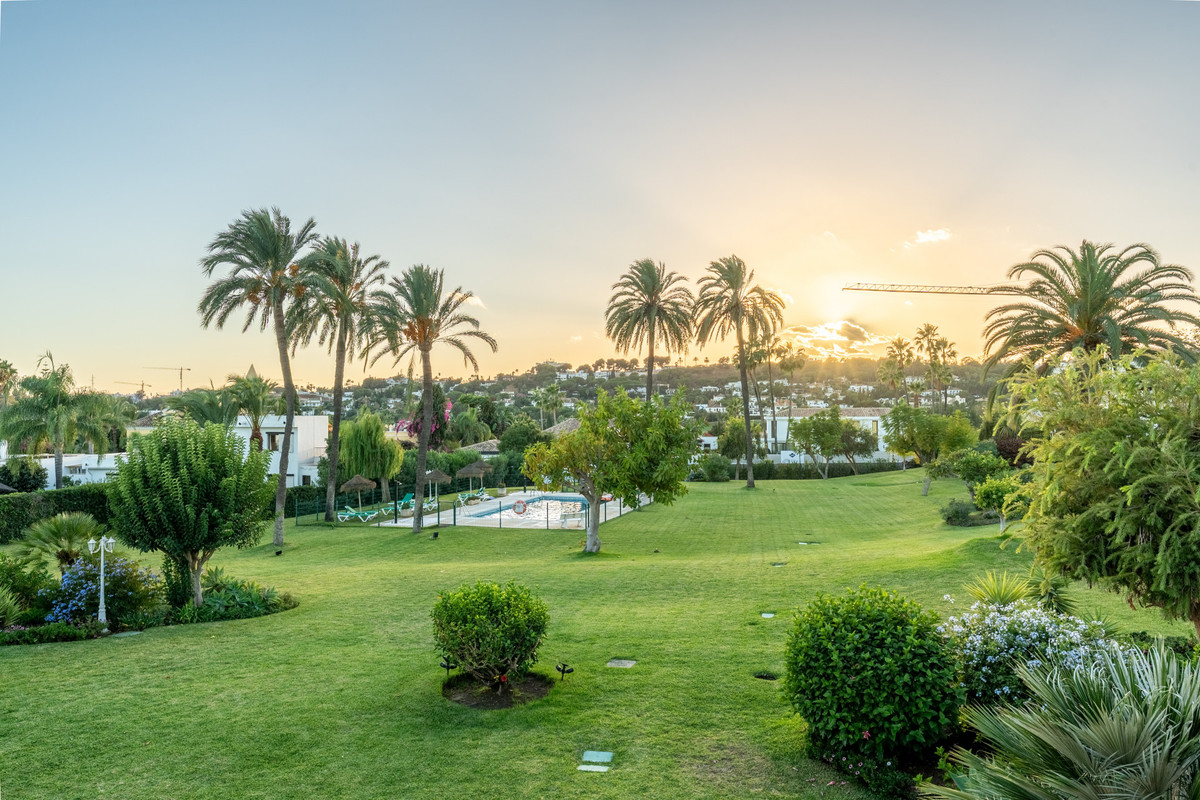 164b1327643997b7b223101a3657f9d4 - 37