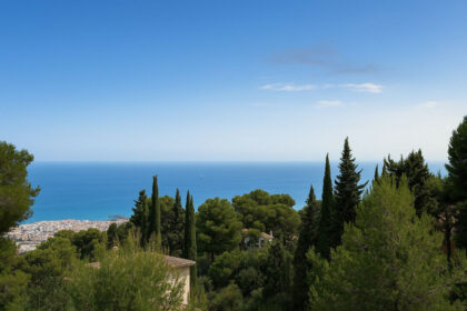 17af39c6739e8591952b16d02053a345 - 1