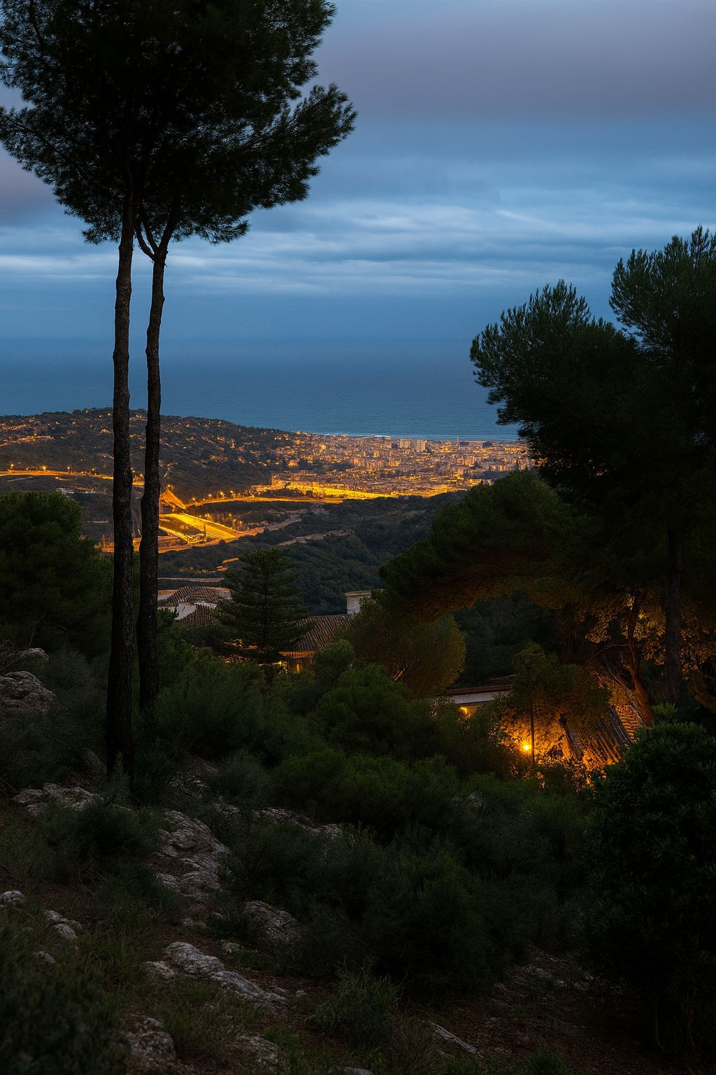 17af39c6739e8591952b16d02053a345 - 2