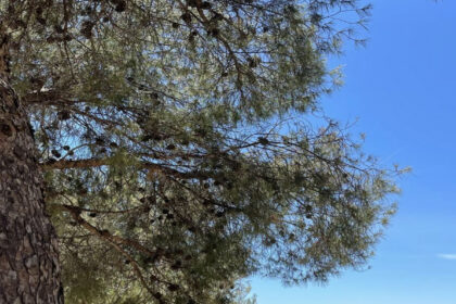 17af39c6739e8591952b16d02053a345 - 4