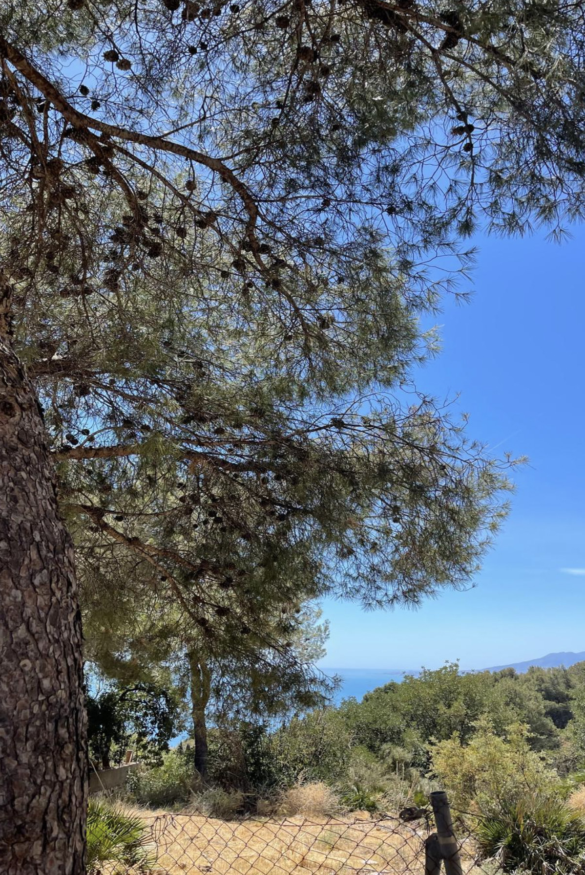 17af39c6739e8591952b16d02053a345 - 4