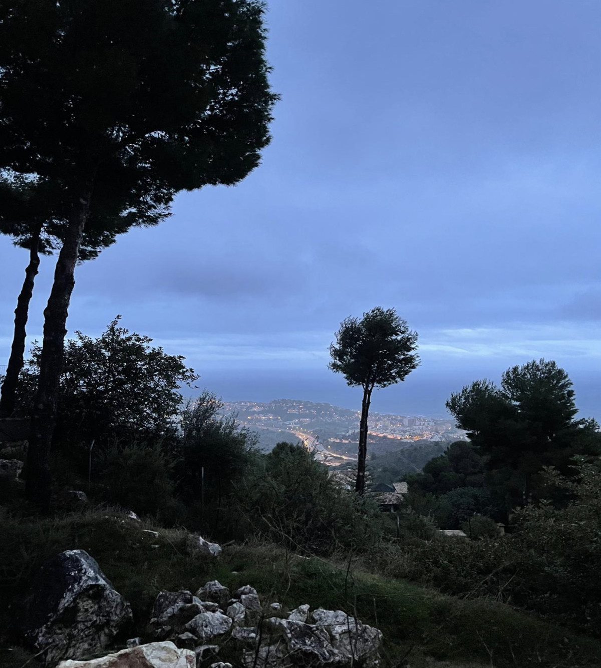 17af39c6739e8591952b16d02053a345 - 6