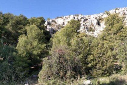 17af39c6739e8591952b16d02053a345 - 7