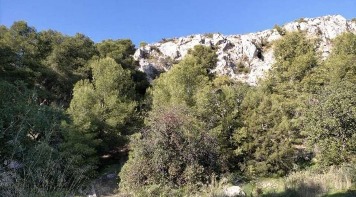 17af39c6739e8591952b16d02053a345 - 7