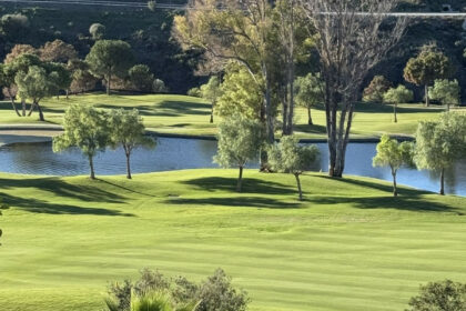 17eaedcead1a494f20cd578056116b3f - 16