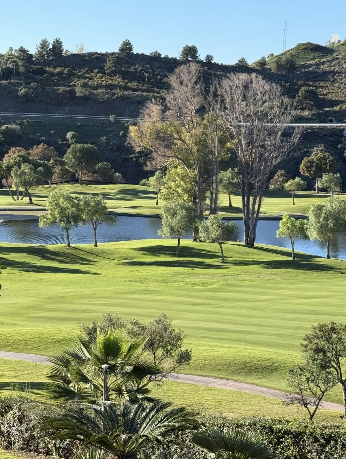 17eaedcead1a494f20cd578056116b3f - 16