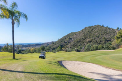 1830da7138318ca0c37a39242b55489b - 14