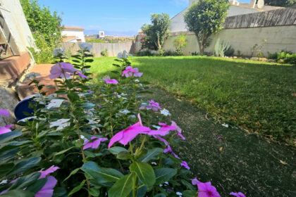 18bde5d95b3f862b7854ef961f9cc59a - 2