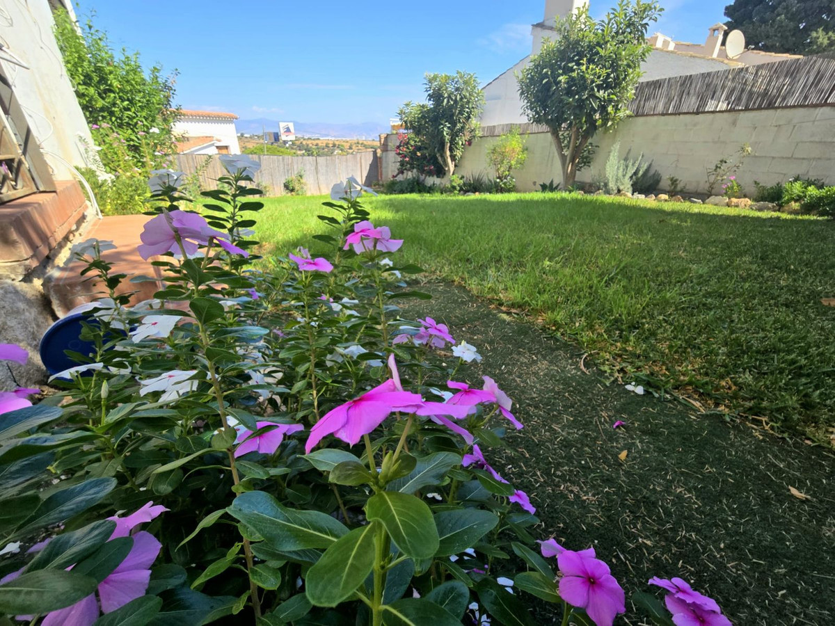 18bde5d95b3f862b7854ef961f9cc59a - 2