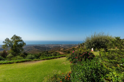 1d2618a5f734237260d259f6c8337860 - 17