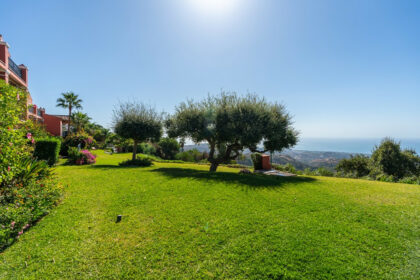 1d2618a5f734237260d259f6c8337860 - 20