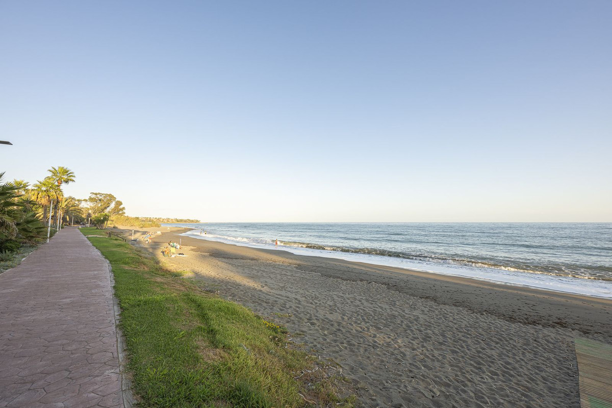 1d50501ee4090a44b87af5fbe662f295 - 21