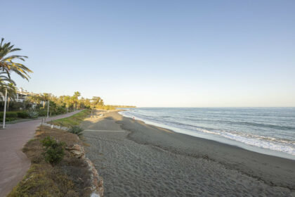 1d50501ee4090a44b87af5fbe662f295 - 22