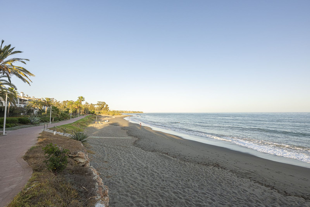 1d50501ee4090a44b87af5fbe662f295 - 22