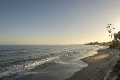 1d50501ee4090a44b87af5fbe662f295 - 23