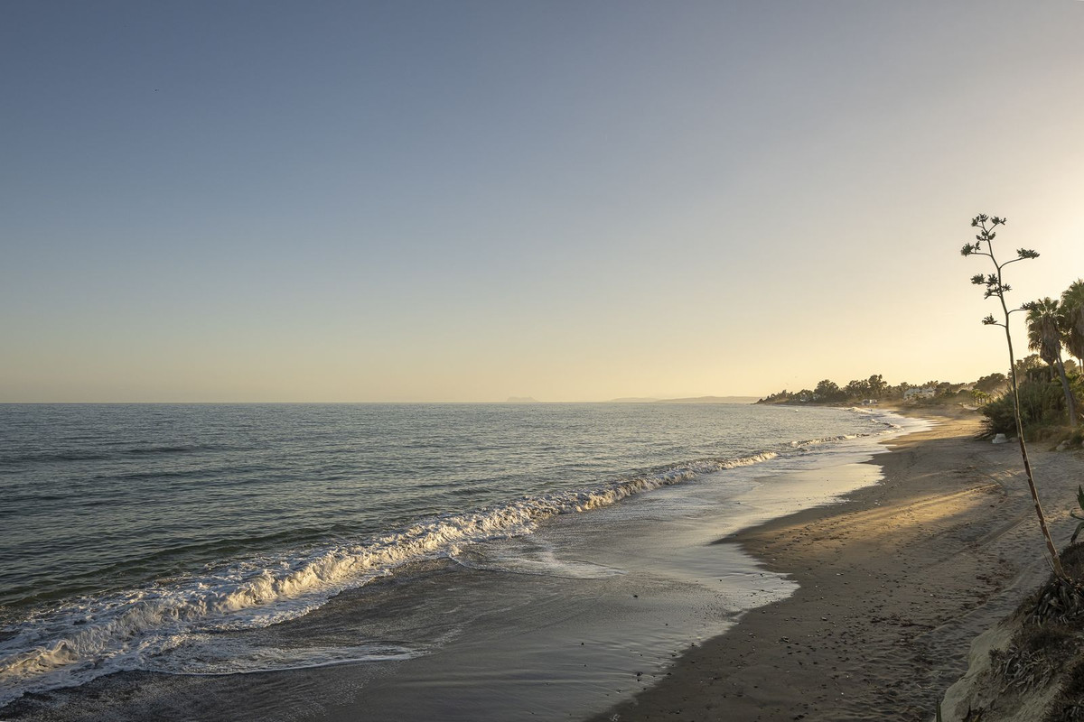 1d50501ee4090a44b87af5fbe662f295 - 23