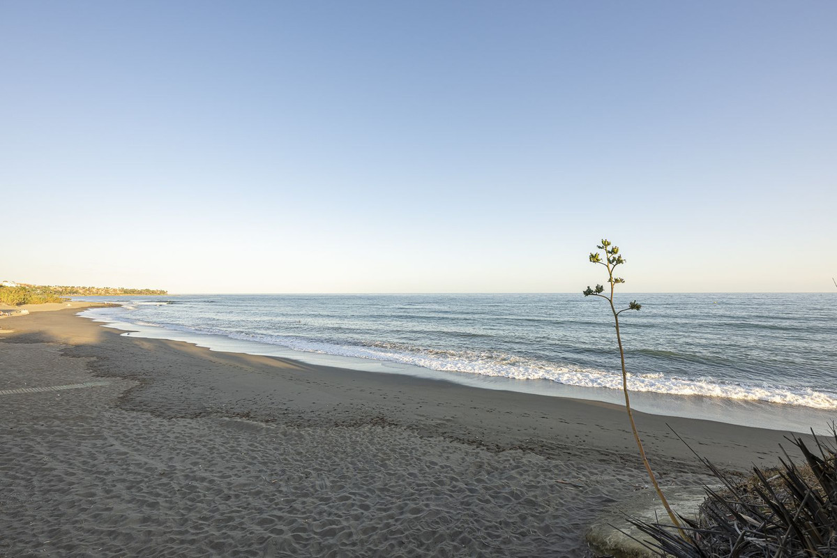 1d50501ee4090a44b87af5fbe662f295 - 24