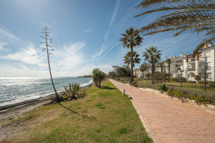 1d50501ee4090a44b87af5fbe662f295 - 25