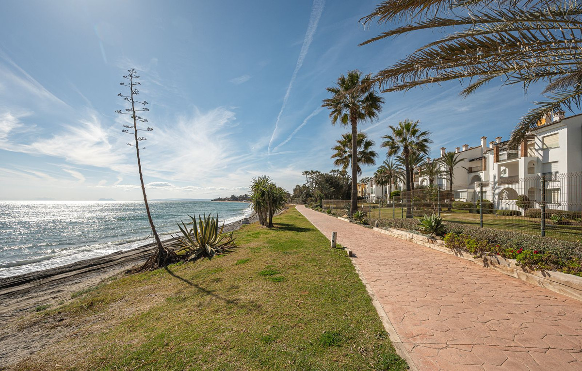 1d50501ee4090a44b87af5fbe662f295 - 25