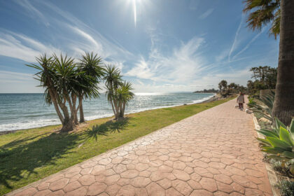 1d50501ee4090a44b87af5fbe662f295 - 26