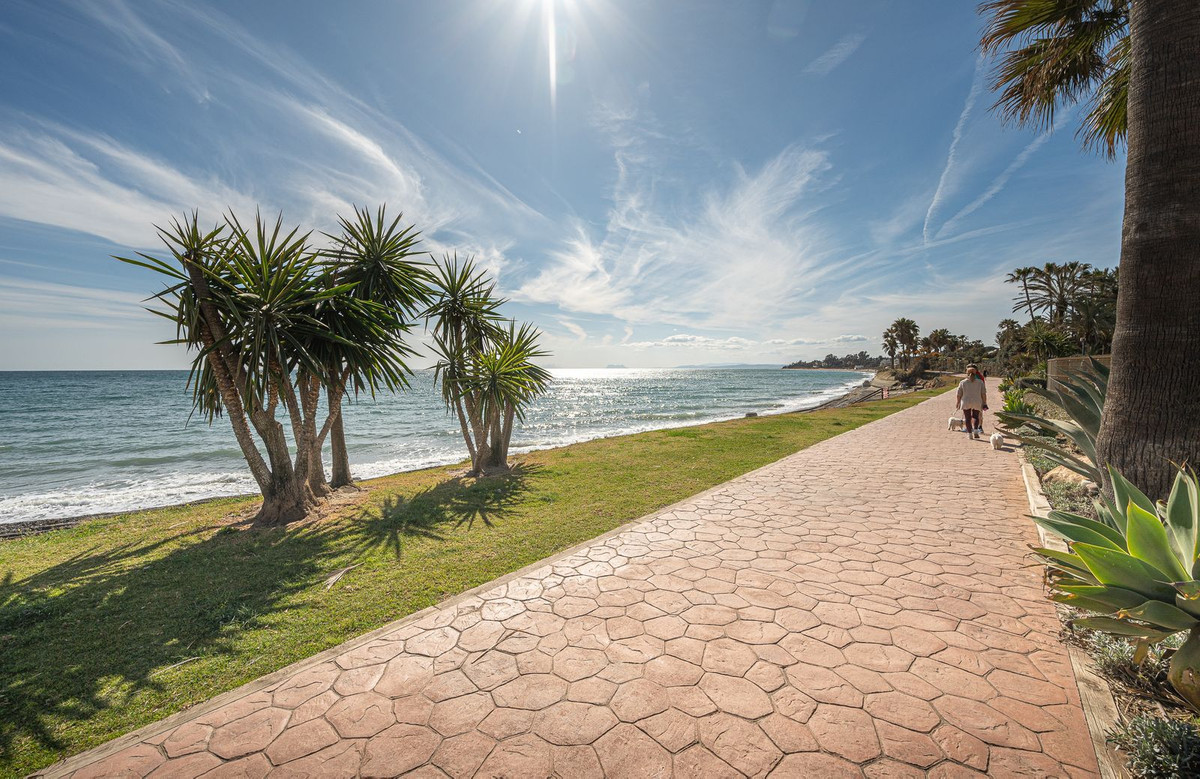 1d50501ee4090a44b87af5fbe662f295 - 26