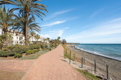 1d50501ee4090a44b87af5fbe662f295 - 27