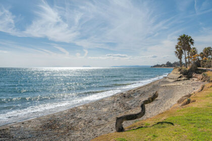 1d50501ee4090a44b87af5fbe662f295 - 28