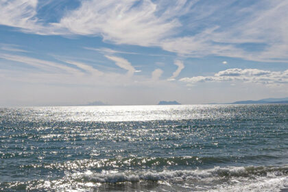 1d50501ee4090a44b87af5fbe662f295 - 29