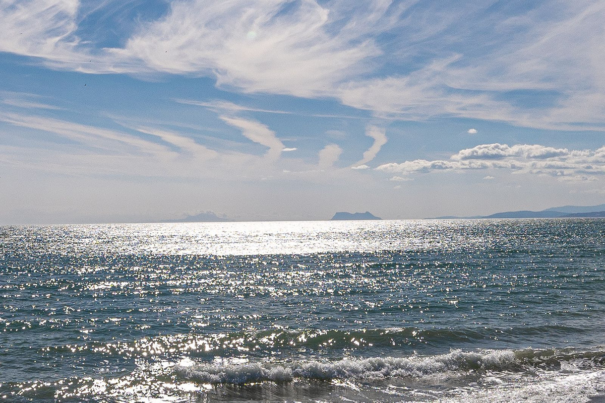 1d50501ee4090a44b87af5fbe662f295 - 29