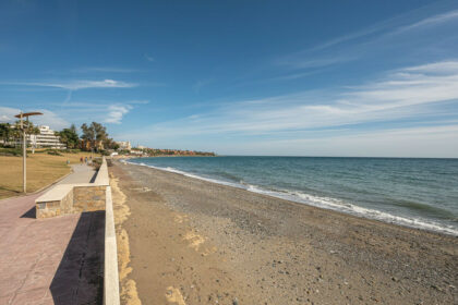 1d50501ee4090a44b87af5fbe662f295 - 31