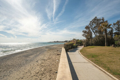 1d50501ee4090a44b87af5fbe662f295 - 32