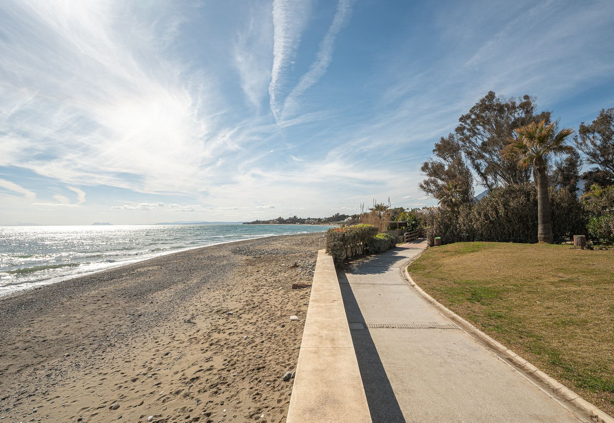 1d50501ee4090a44b87af5fbe662f295 - 32