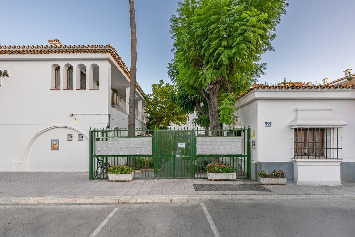 1d50501ee4090a44b87af5fbe662f295 - 33