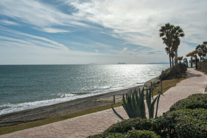 1d50501ee4090a44b87af5fbe662f295 - 36