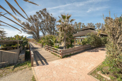 1d50501ee4090a44b87af5fbe662f295 - 37