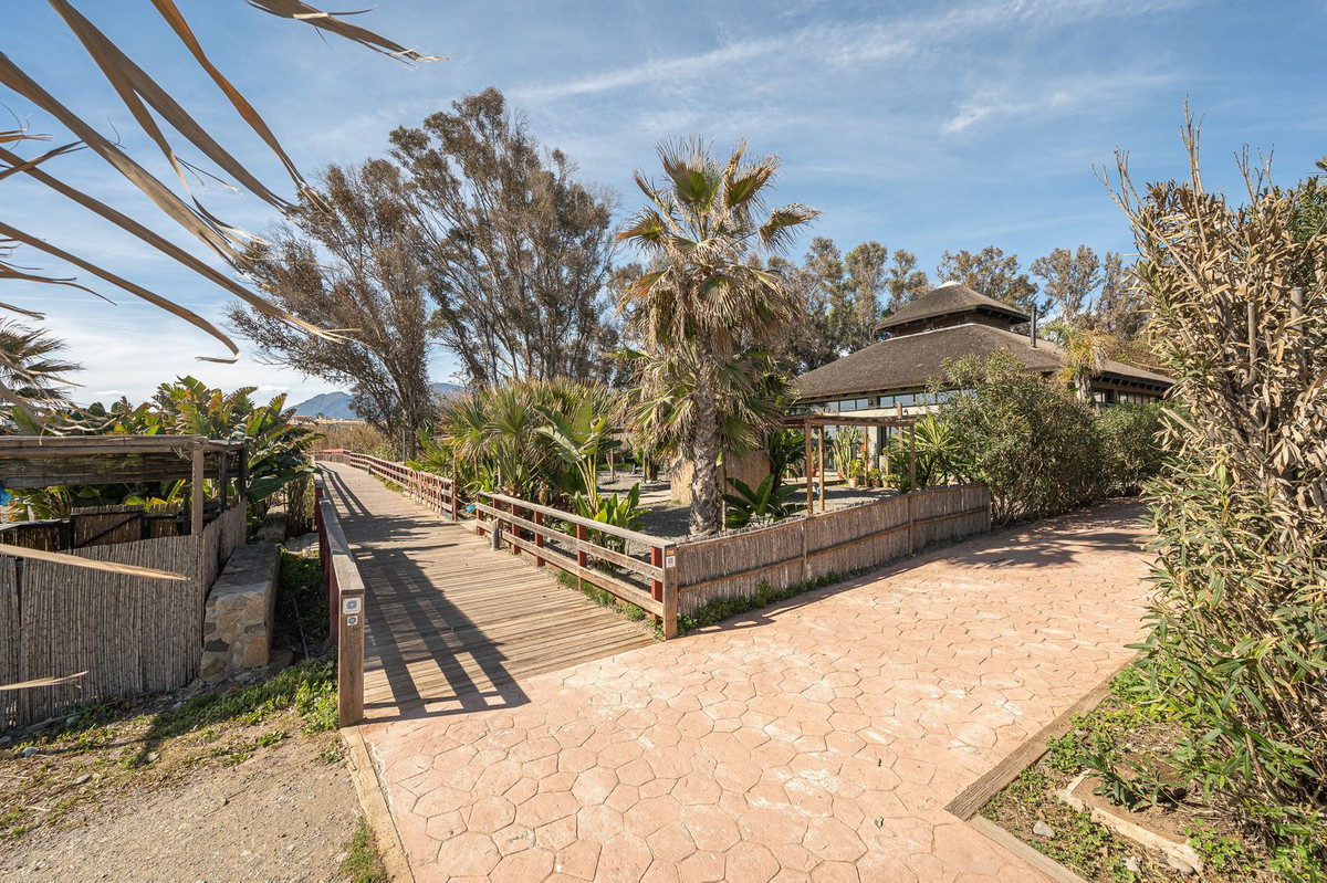 1d50501ee4090a44b87af5fbe662f295 - 37