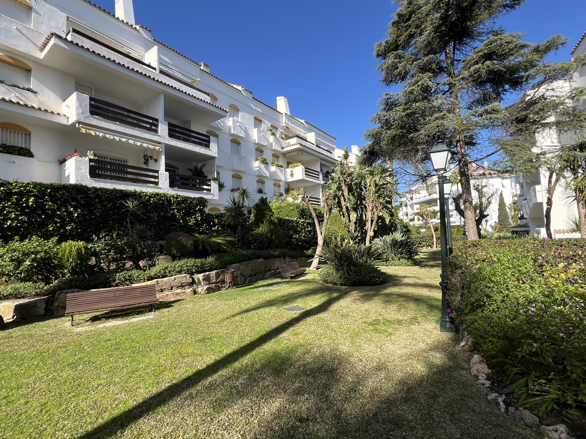 1e32dd5dbc9b059c2e7233a64dee899e - 32