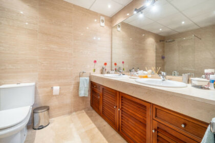 1f6b8609e4bfa21cc1d74df1c7ce8251 - 22