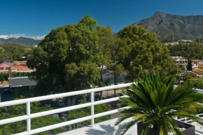 209cfe39de5e9e3cbfc9327679185260 - 28