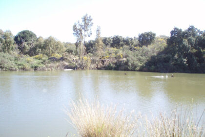 20e8e56d3e7cdca0b03adbdb5a76a67a - 1