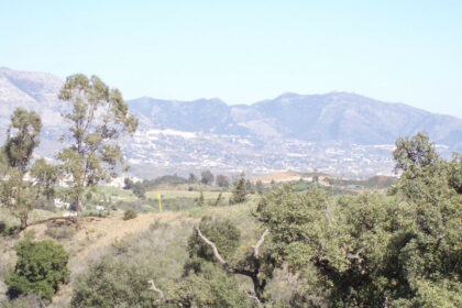 20e8e56d3e7cdca0b03adbdb5a76a67a - 11