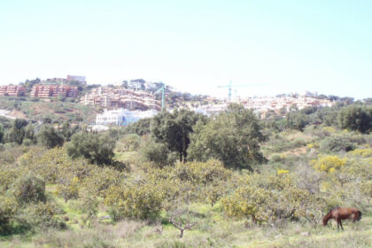 20e8e56d3e7cdca0b03adbdb5a76a67a - 13