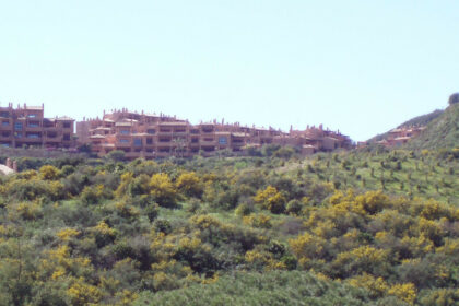 20e8e56d3e7cdca0b03adbdb5a76a67a - 14