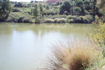 20e8e56d3e7cdca0b03adbdb5a76a67a - 2