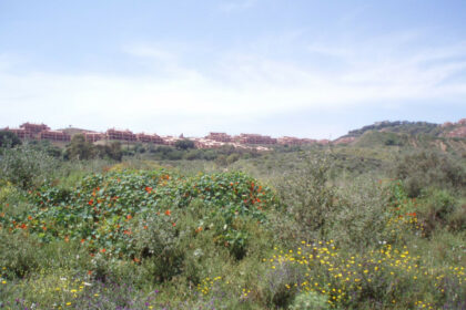 20e8e56d3e7cdca0b03adbdb5a76a67a - 3