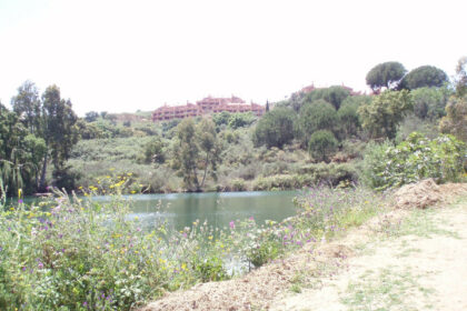 20e8e56d3e7cdca0b03adbdb5a76a67a - 4