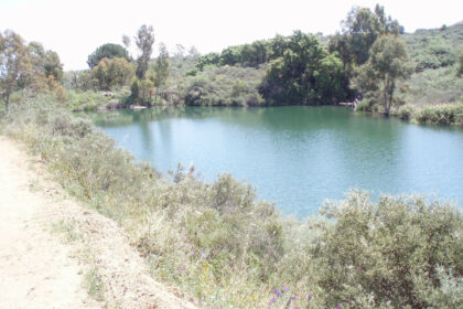 20e8e56d3e7cdca0b03adbdb5a76a67a - 5