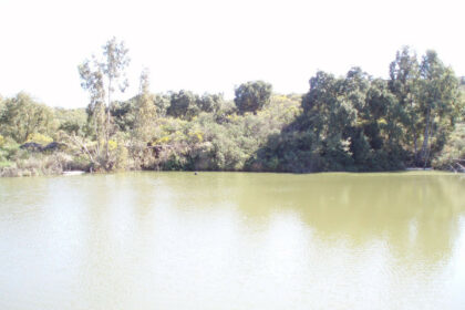 20e8e56d3e7cdca0b03adbdb5a76a67a - 6