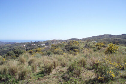 20e8e56d3e7cdca0b03adbdb5a76a67a - 7